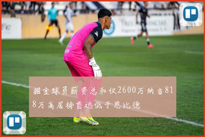 掘金球员薪资总和仅2600万纳吉818万高居榜首远低于恩比德