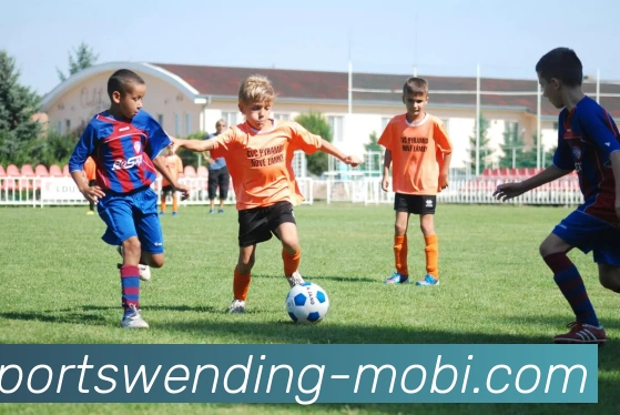 问鼎娱乐平台生态图